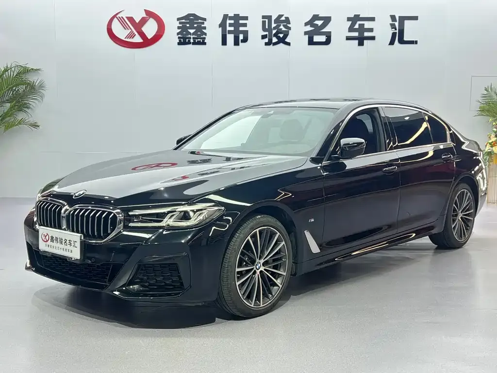 BMW 5 Series 2023 из CN, фото 3