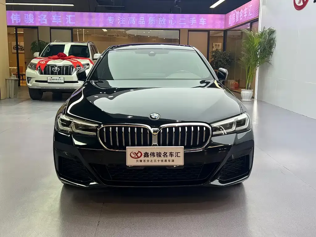 BMW 5 Series 2023 из CN, фото 8