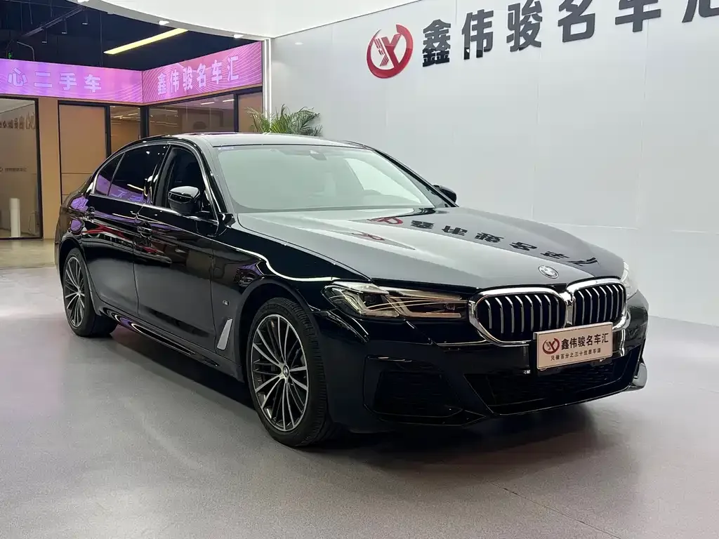BMW 5 Series 2023 из CN, фото 7