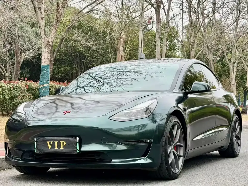 Tesla Model 3 2021 из CN, фото 1