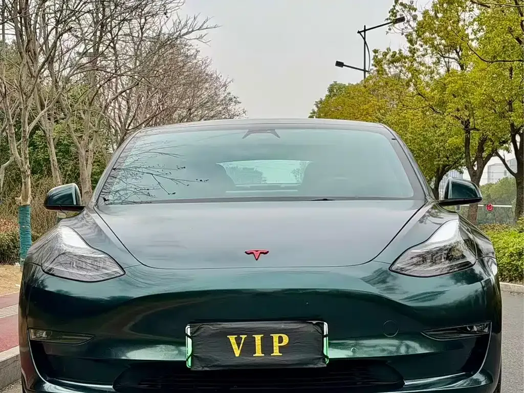 Tesla Model 3 2021 из CN, фото 8