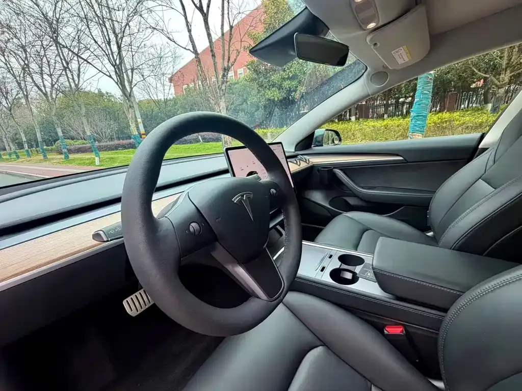 Tesla Model 3 2021 из CN, фото 4