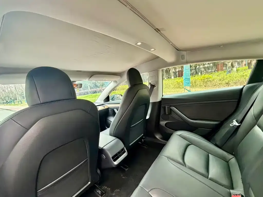 Tesla Model 3 2021 из CN, фото 2