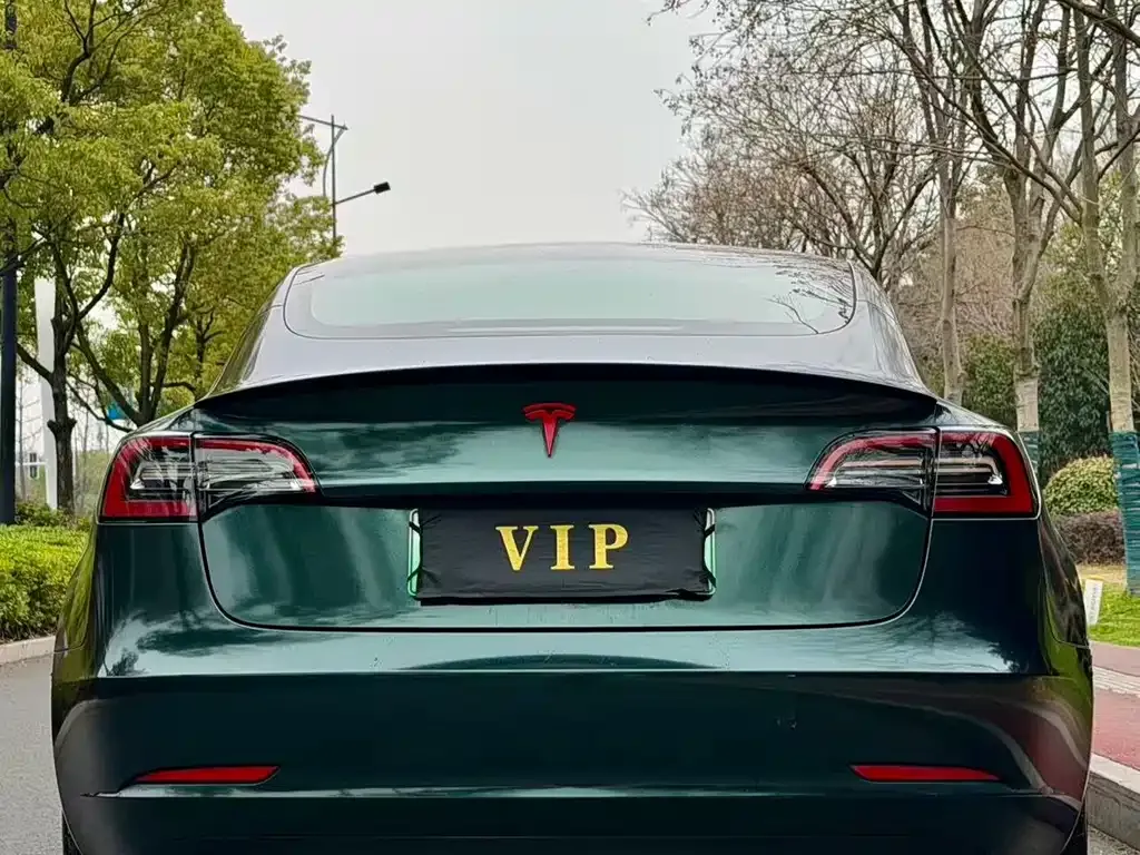 Tesla Model 3 2021 из CN, фото 6