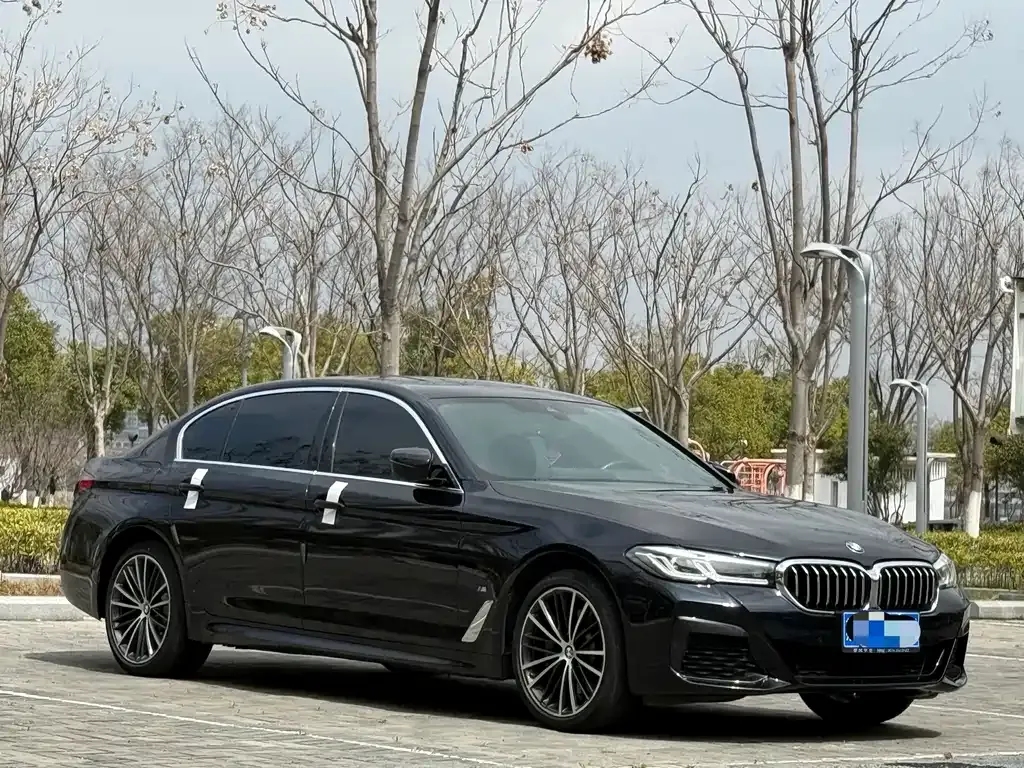 BMW 5 Series 2023 из CN, фото 6