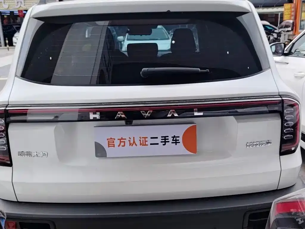 Haval Big Dog 2024 из CN, фото 10