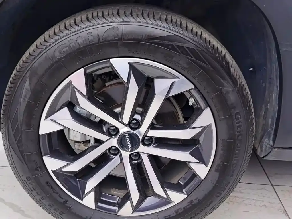 Haval Big Dog 2024 из CN, фото 5