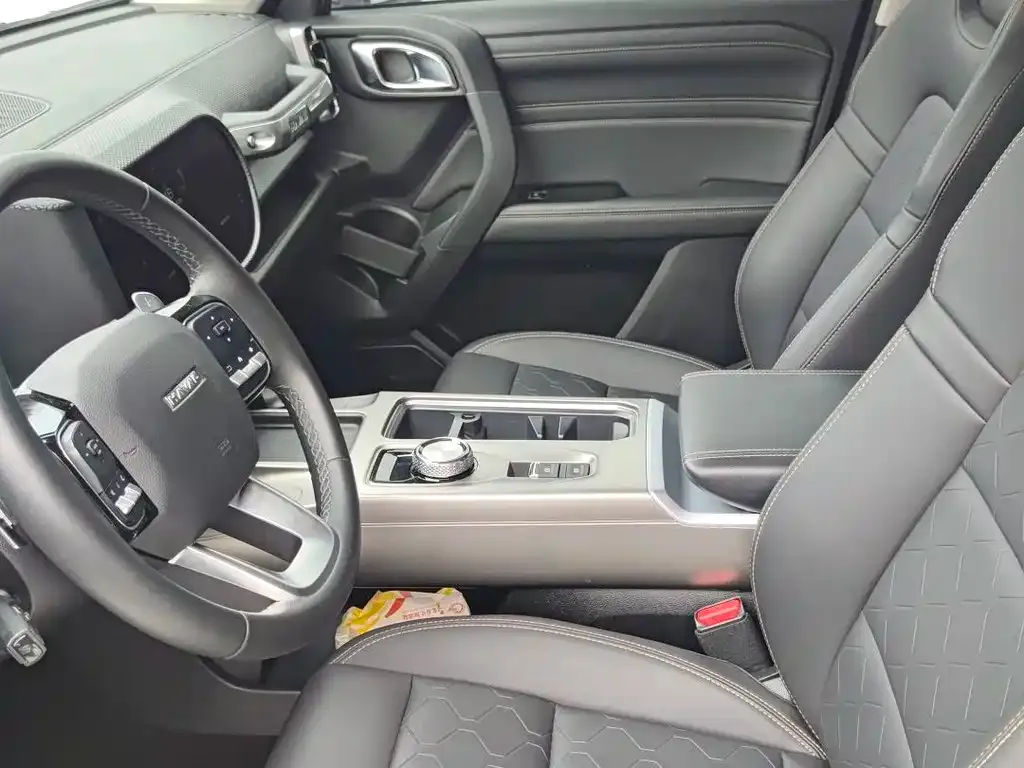 Haval Big Dog 2024 из CN, фото 8