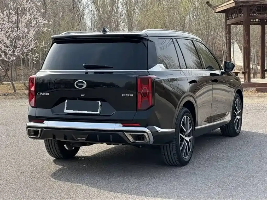 GAC Motor Trumpchi ES9 2024 из CN, фото 9