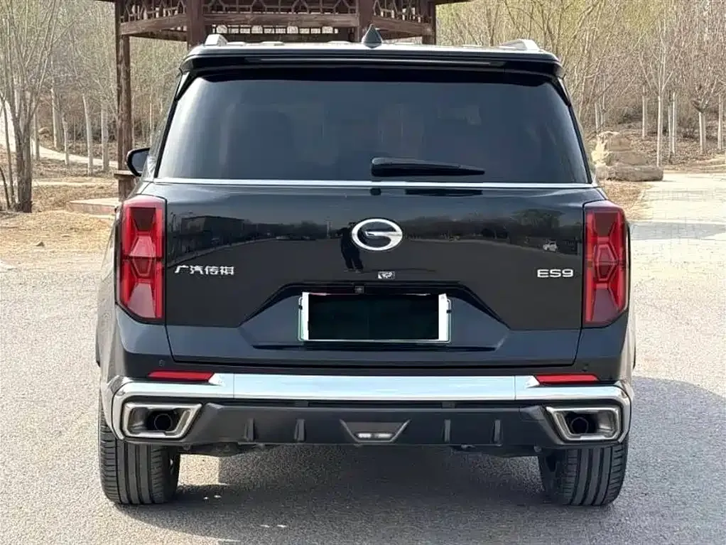 GAC Motor Trumpchi ES9 2024 из CN, фото 7