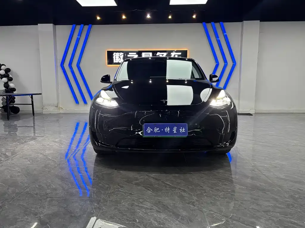 Tesla Model Y — фото 6