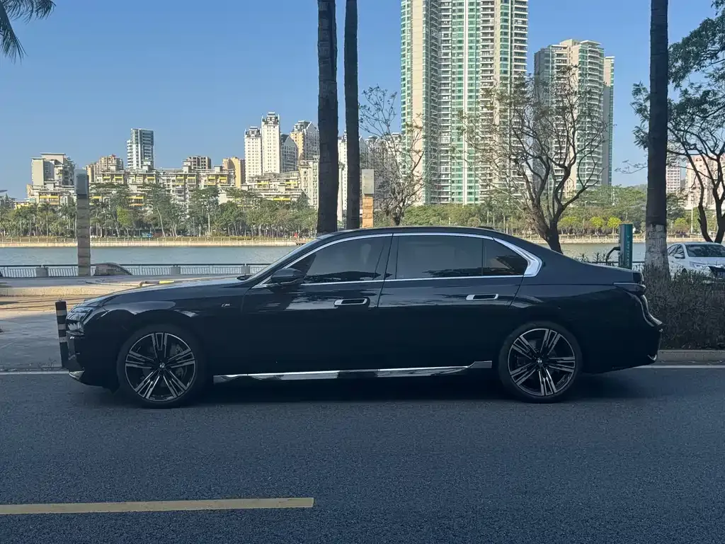 BMW 7 Series 2023 из CN, фото 9