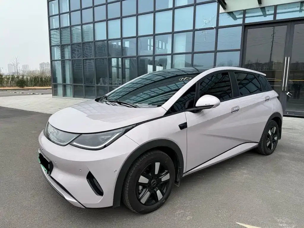 BYD Dolphin 2025 из CN, фото 1