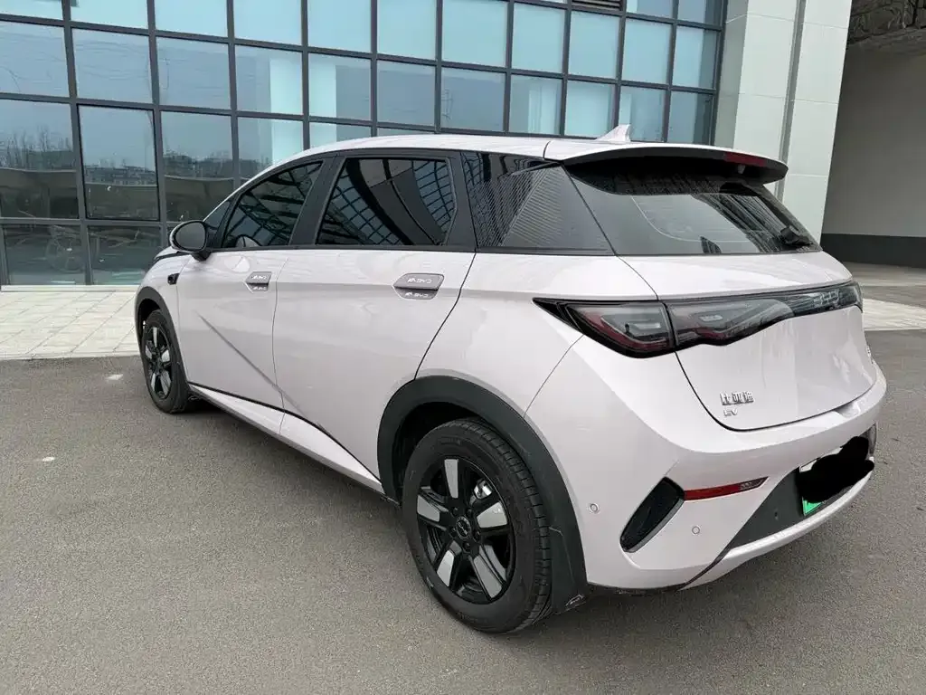 BYD Dolphin 2025 из CN, фото 7