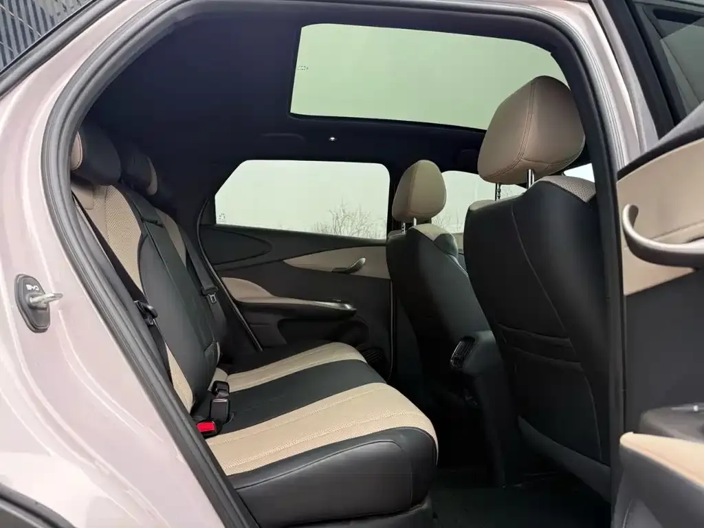 BYD Dolphin 2025 из CN, фото 3