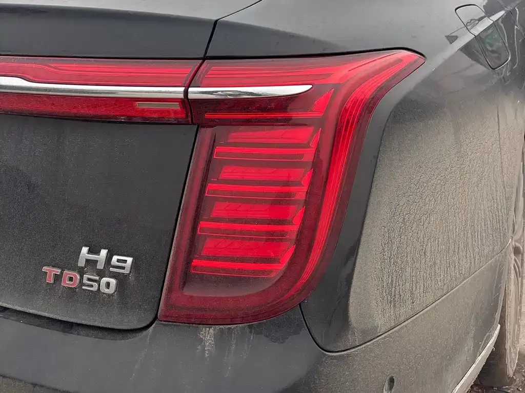 Hongqi H9 2021 из CN, фото 3