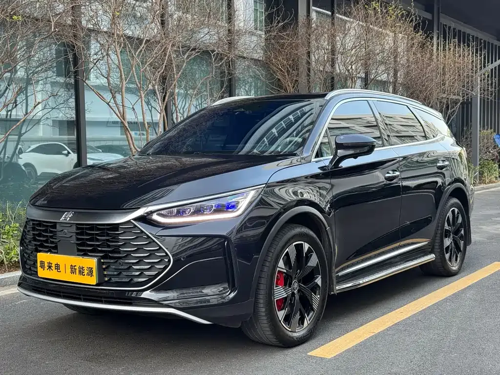 BYD Tang New Energy 2024 из CN, фото 1