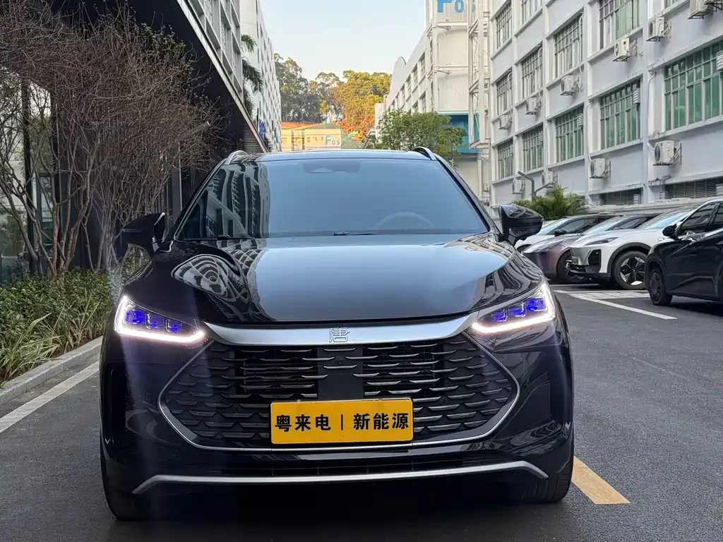 BYD Tang New Energy 2024 из CN, фото 9