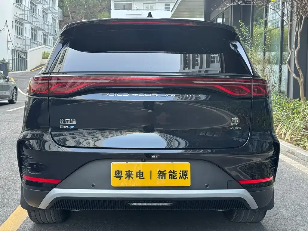 BYD Tang New Energy 2024 из CN, фото 3
