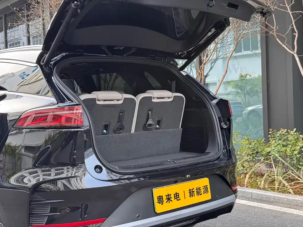 BYD Tang New Energy 2024 из CN, фото 2