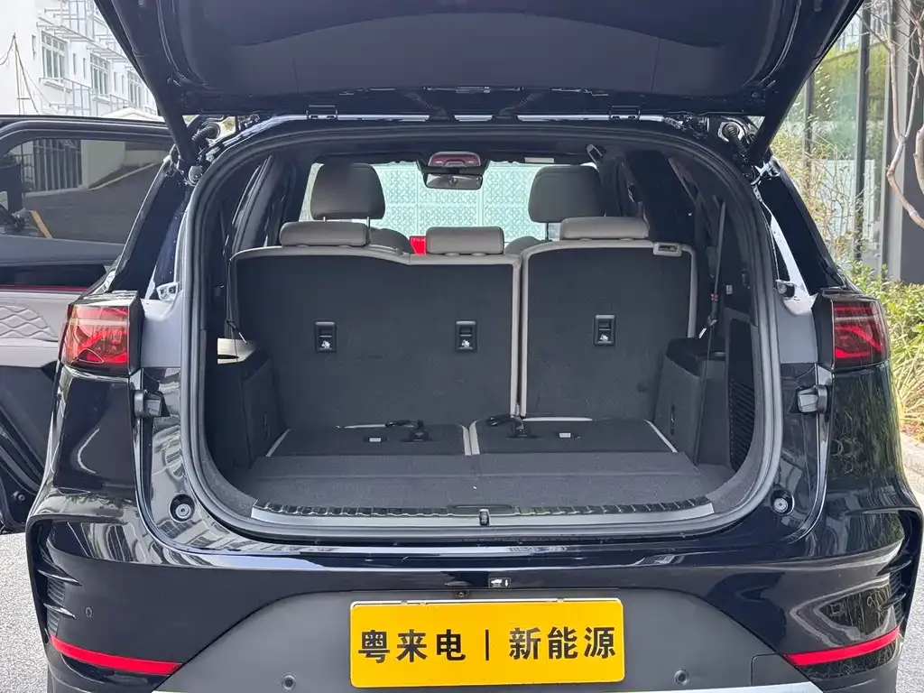 BYD Tang New Energy 2024 из CN, фото 6