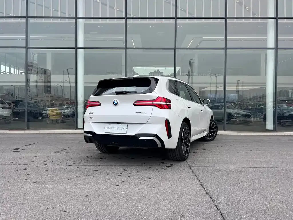 BMW X3 2025 из CN, фото 6