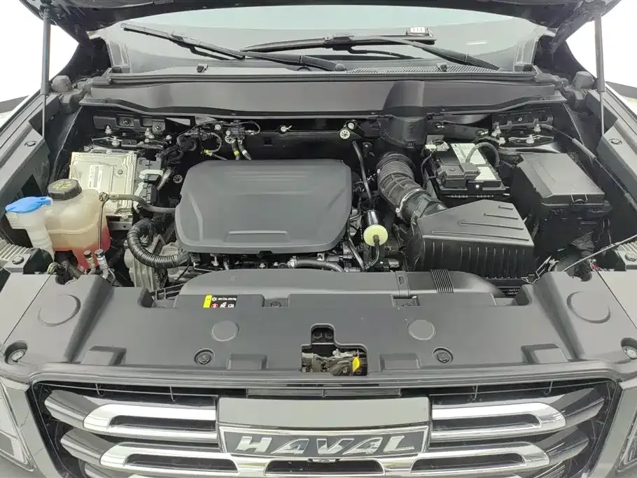 Haval Big Dog 2022 из CN, фото 10