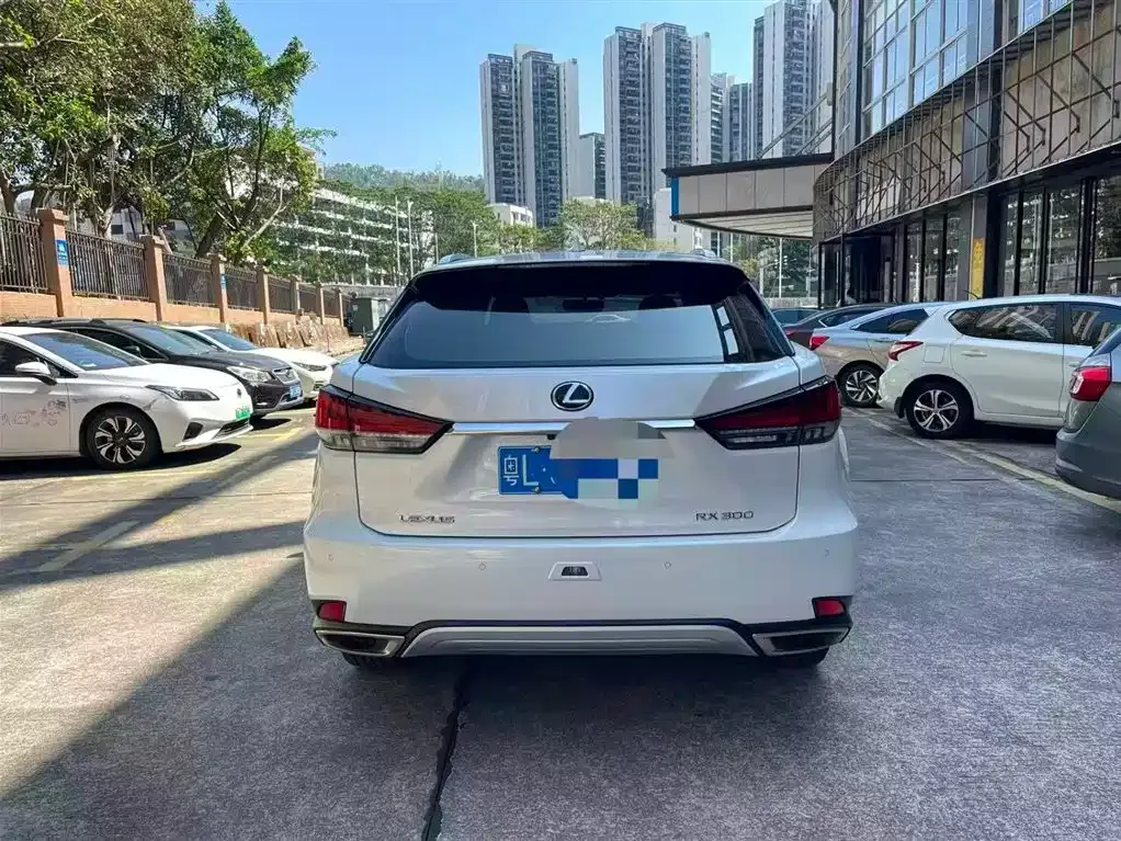 Lexus RX 2021 из CN, фото 4