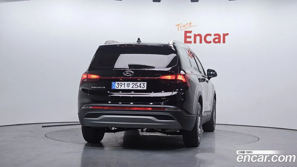 Hyundai Santafe 2021 из KR, фото 5