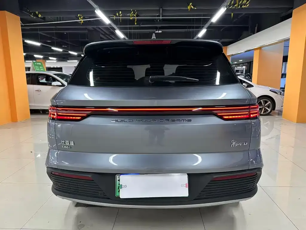 BYD Pro New Energy — фото 5