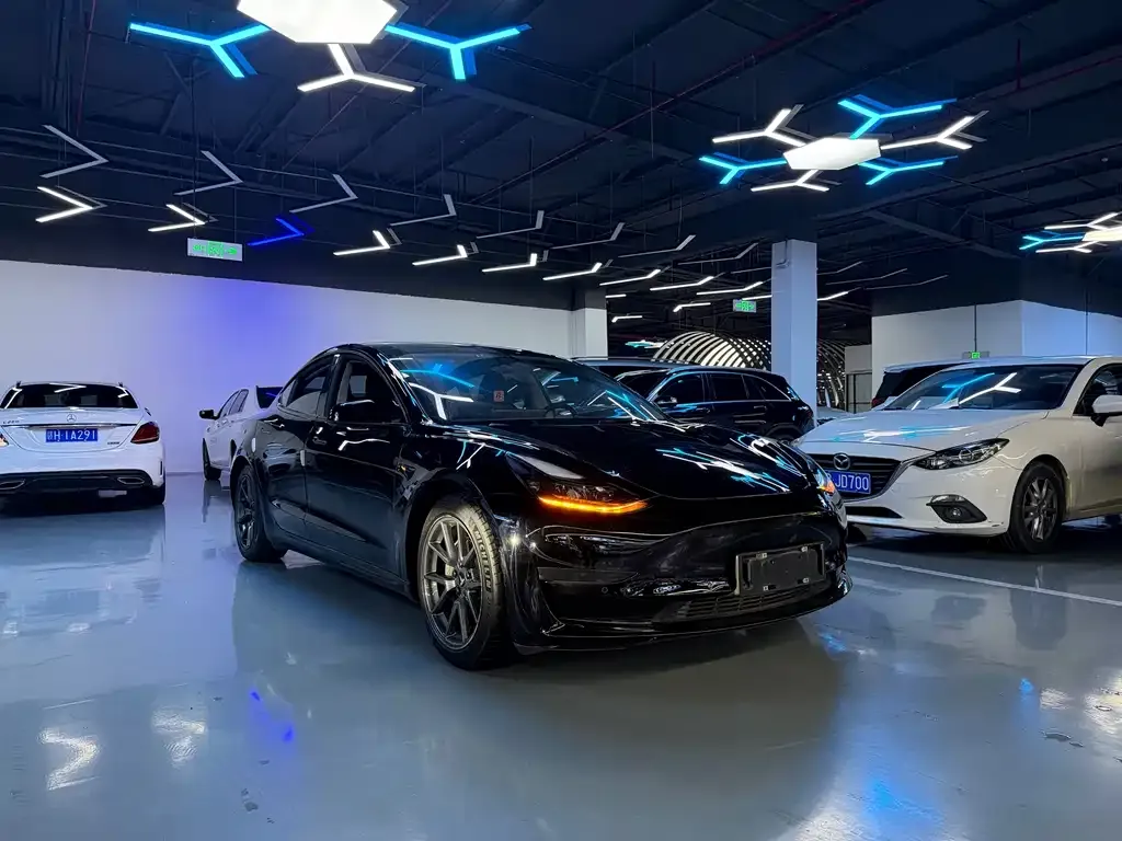 Tesla Model 3 2022 из CN, фото 3