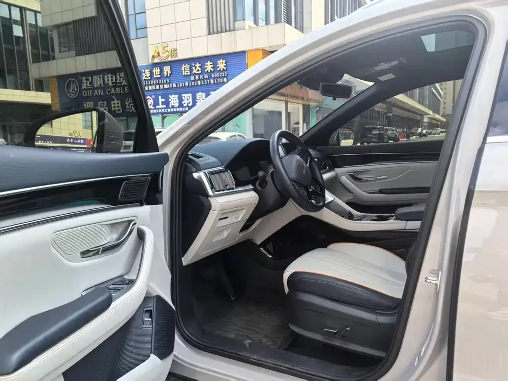 BYD PLUS New Energy 2024 из CN, фото 8