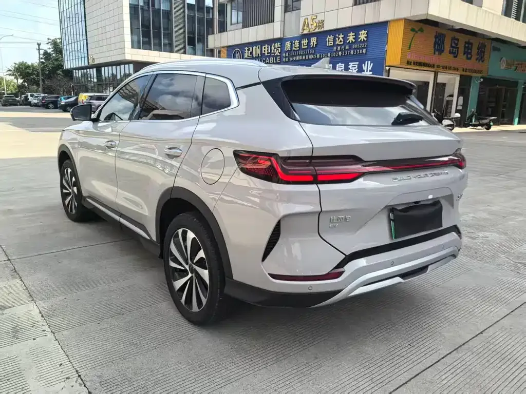 BYD PLUS New Energy 2024 из CN, фото 2