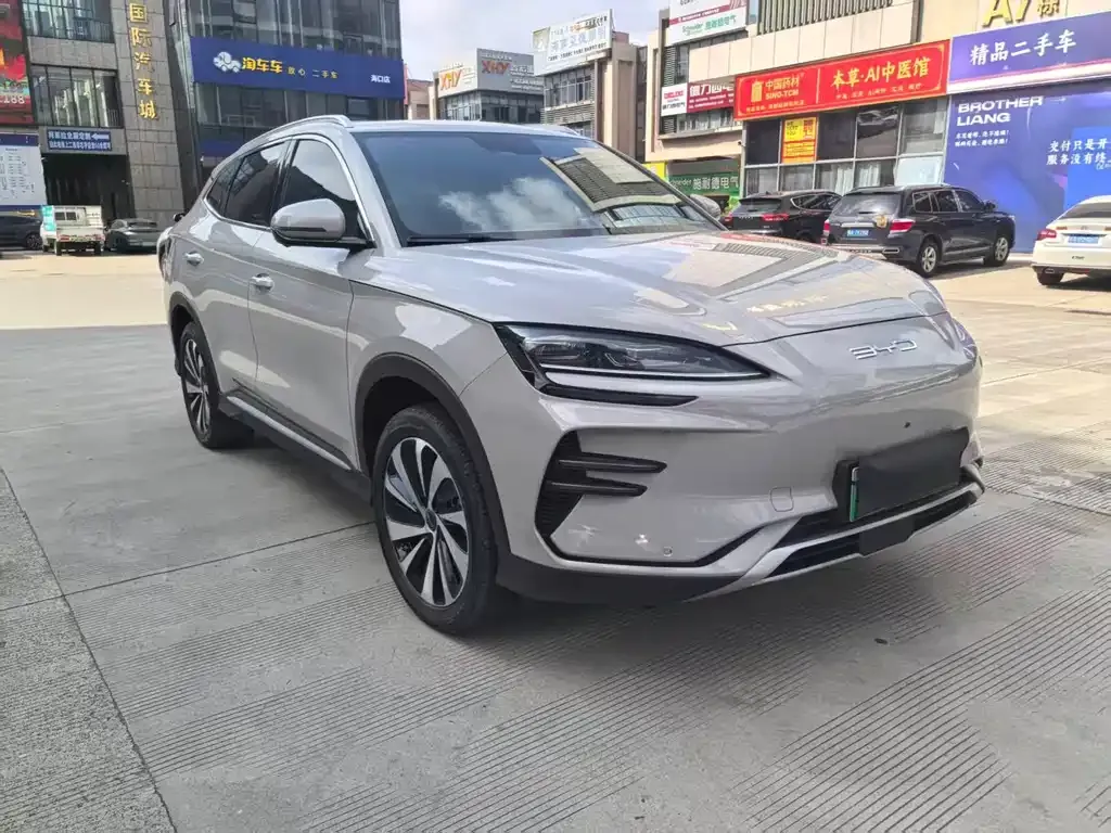 BYD PLUS New Energy 2024 из CN, фото 7