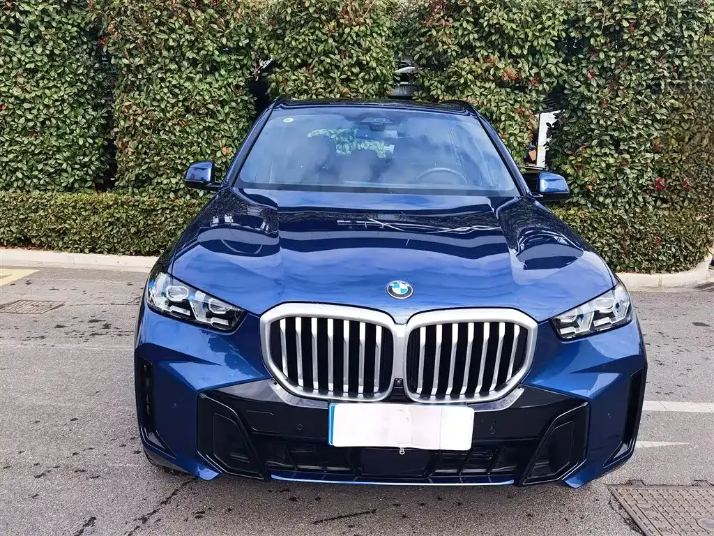 BMW X5 2023 из CN, фото 4
