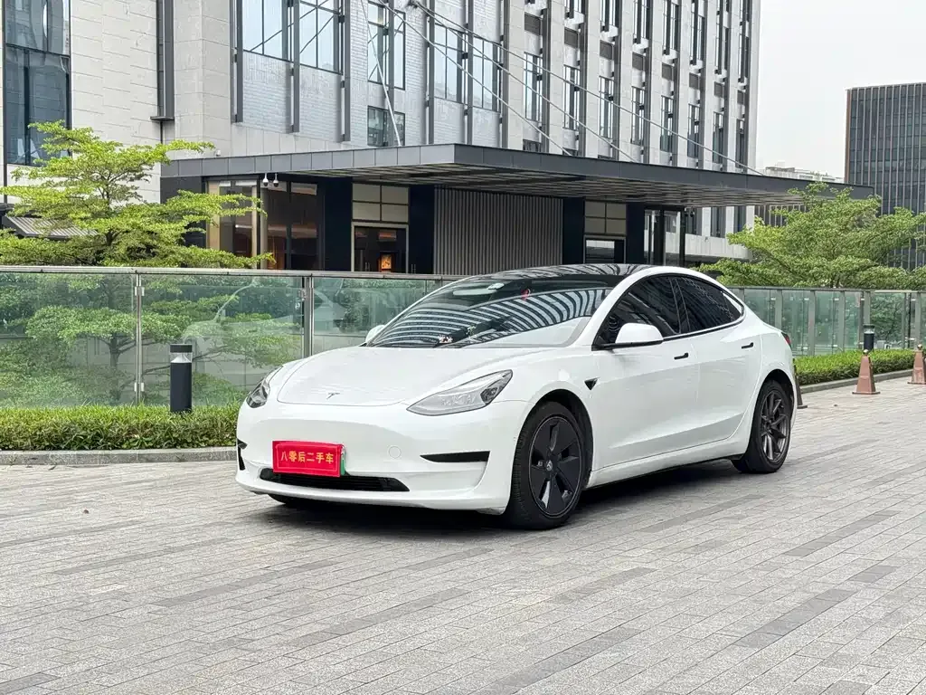 Tesla Model 3 2021 из CN, фото 1