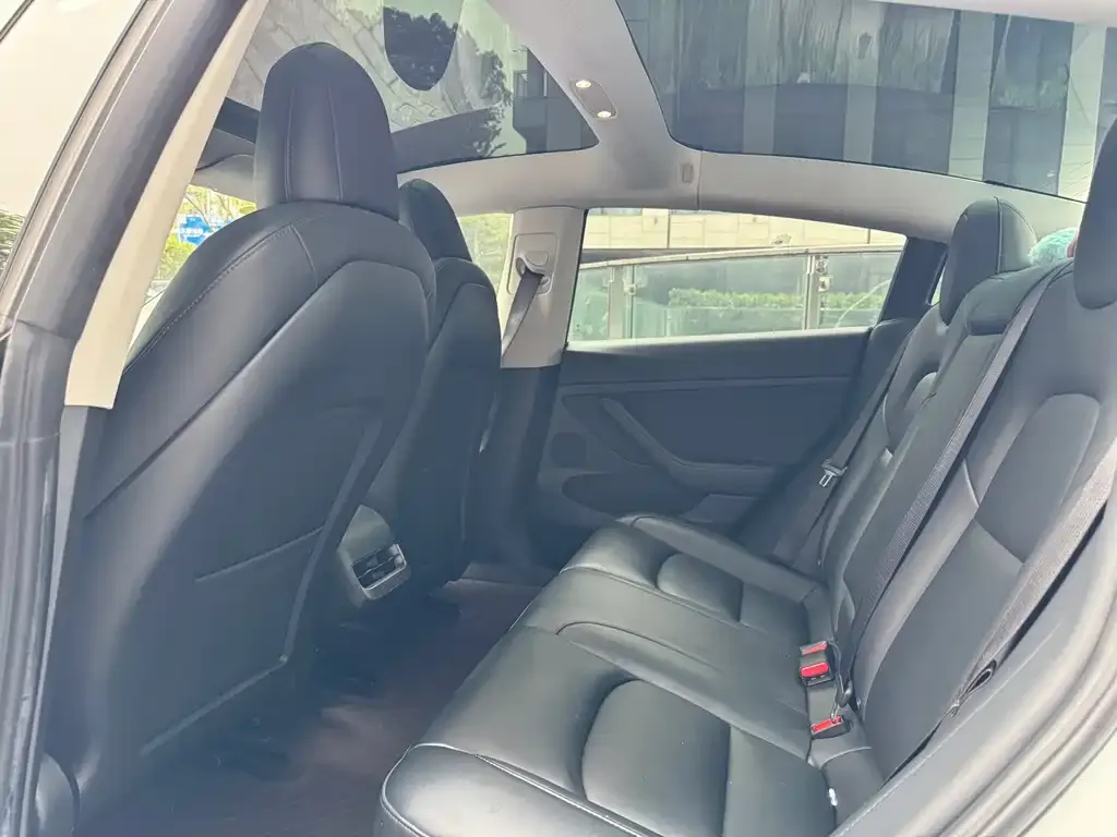 Tesla Model 3 2021 из CN, фото 2