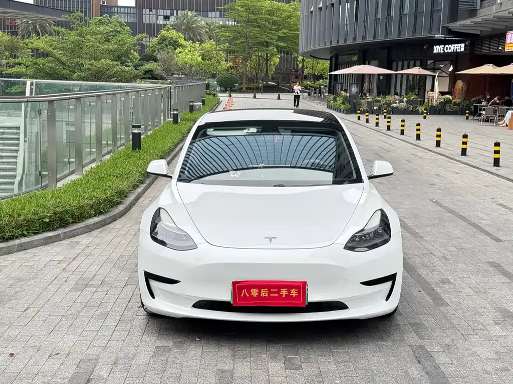 Tesla Model 3 2021 из CN, фото 5