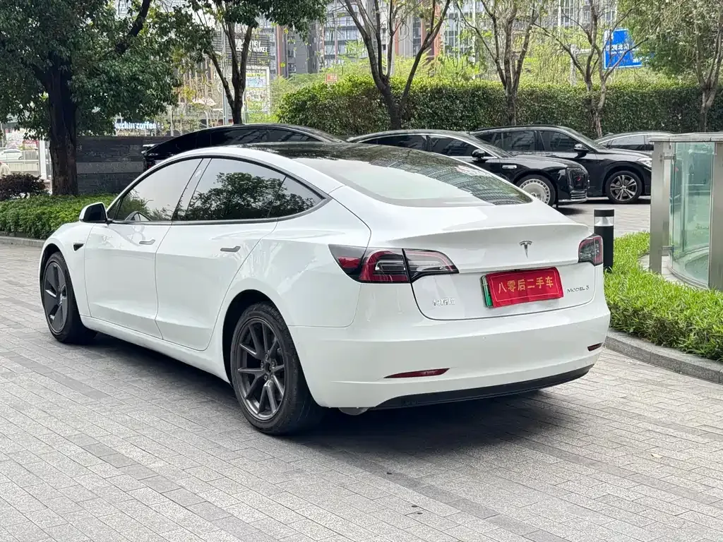 Tesla Model 3 2021 из CN, фото 8
