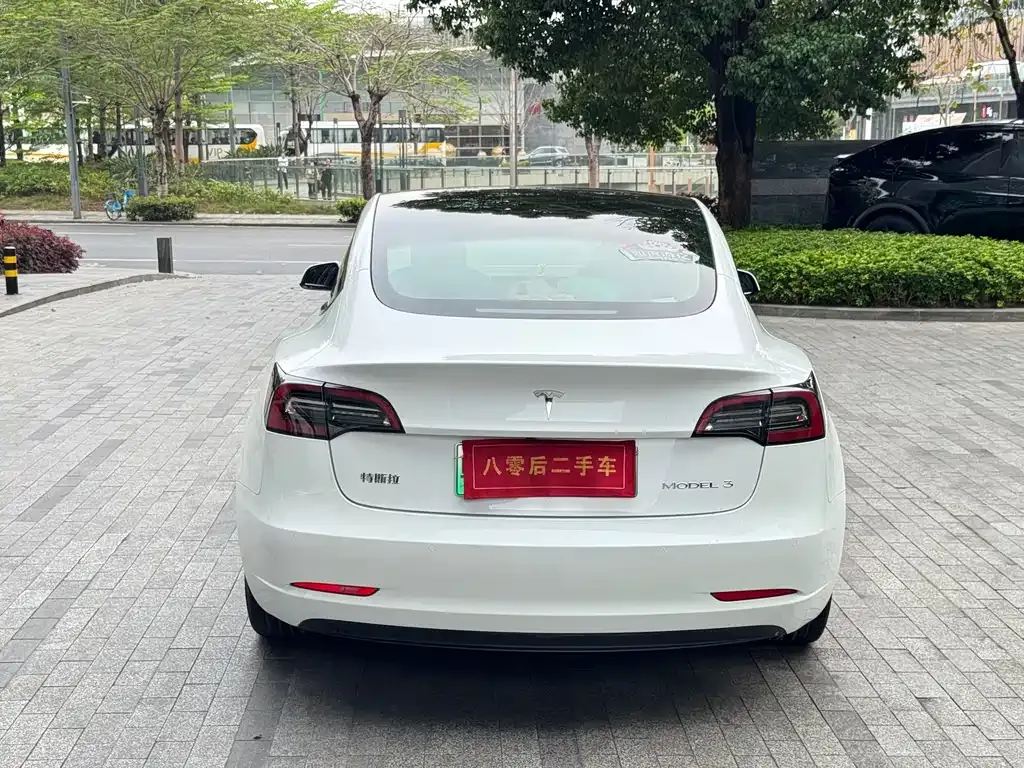 Tesla Model 3 2021 из CN, фото 9