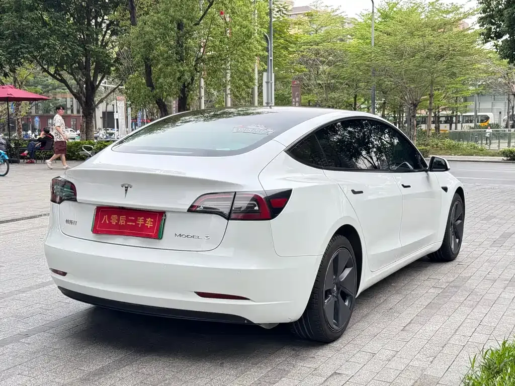 Tesla Model 3 2021 из CN, фото 4