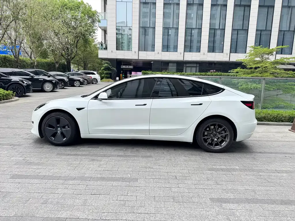 Tesla Model 3 2021 из CN, фото 7