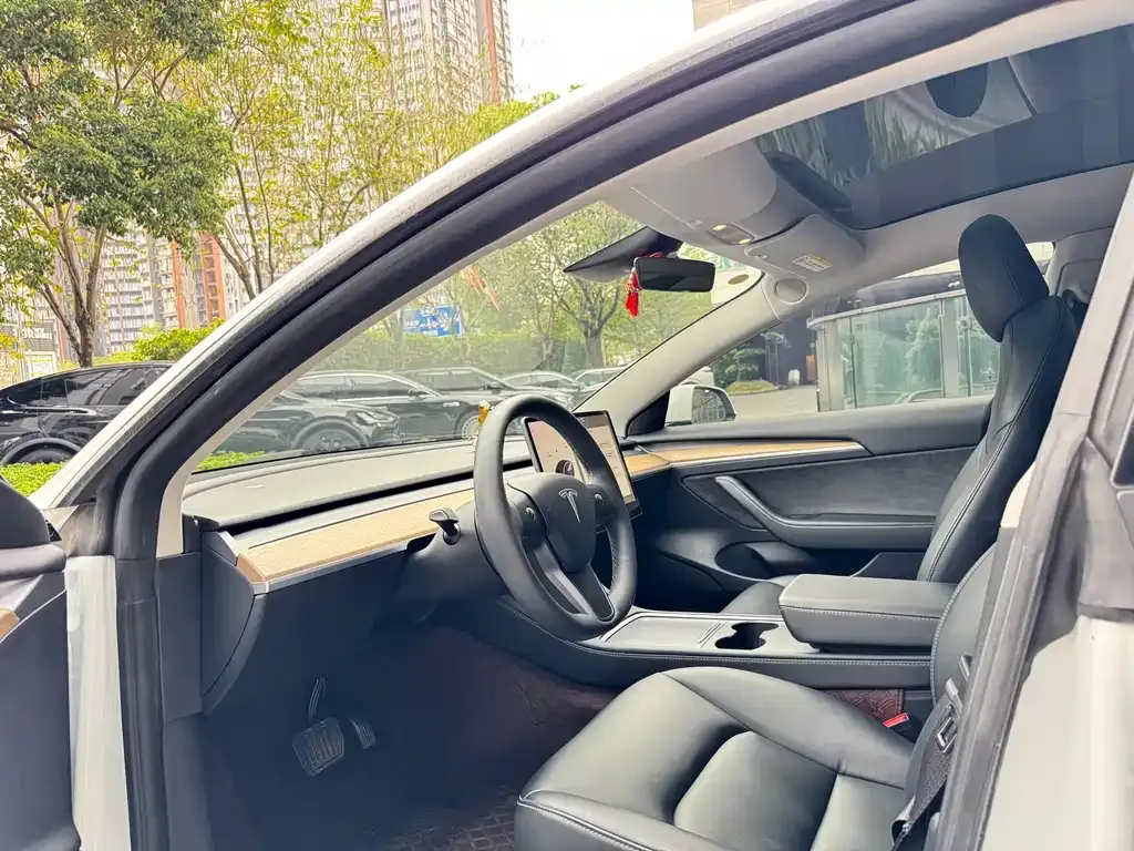 Tesla Model 3 2021 из CN, фото 6