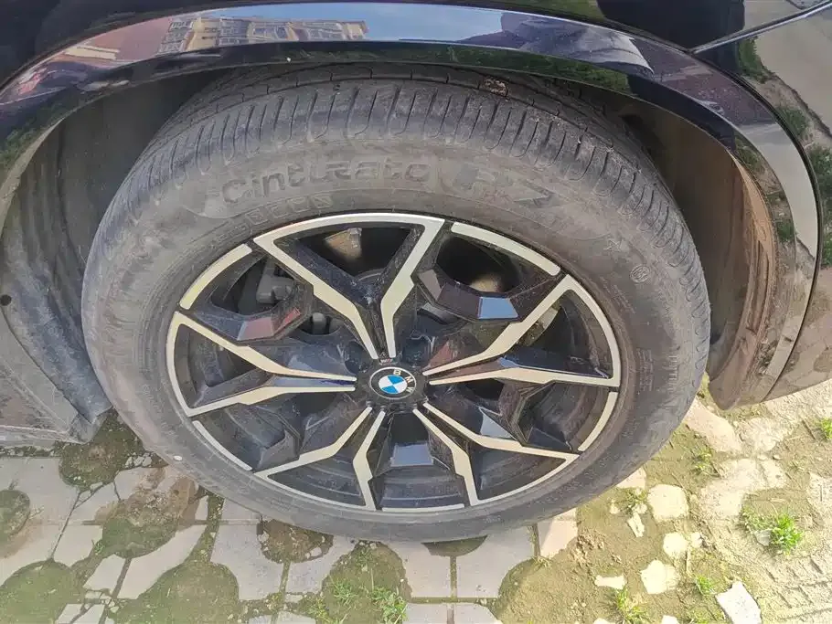 BMW X3 2022 из CN, фото 10