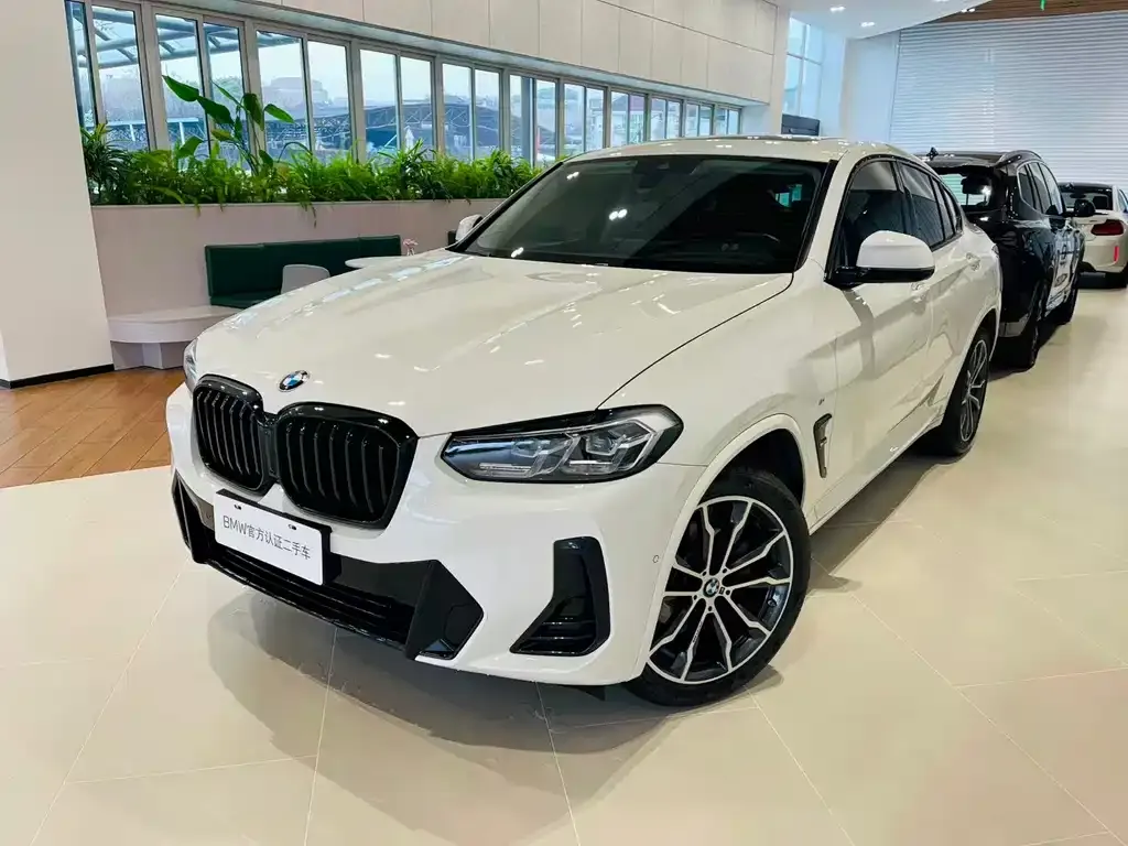 BMW X4 2022 из CN, фото 1