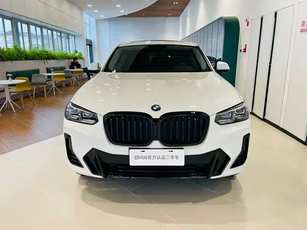BMW X4 2022 из CN, фото 3
