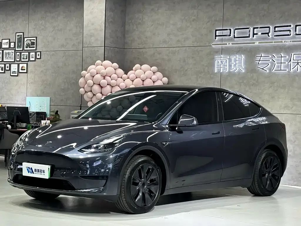 Tesla Model Y — фото 1