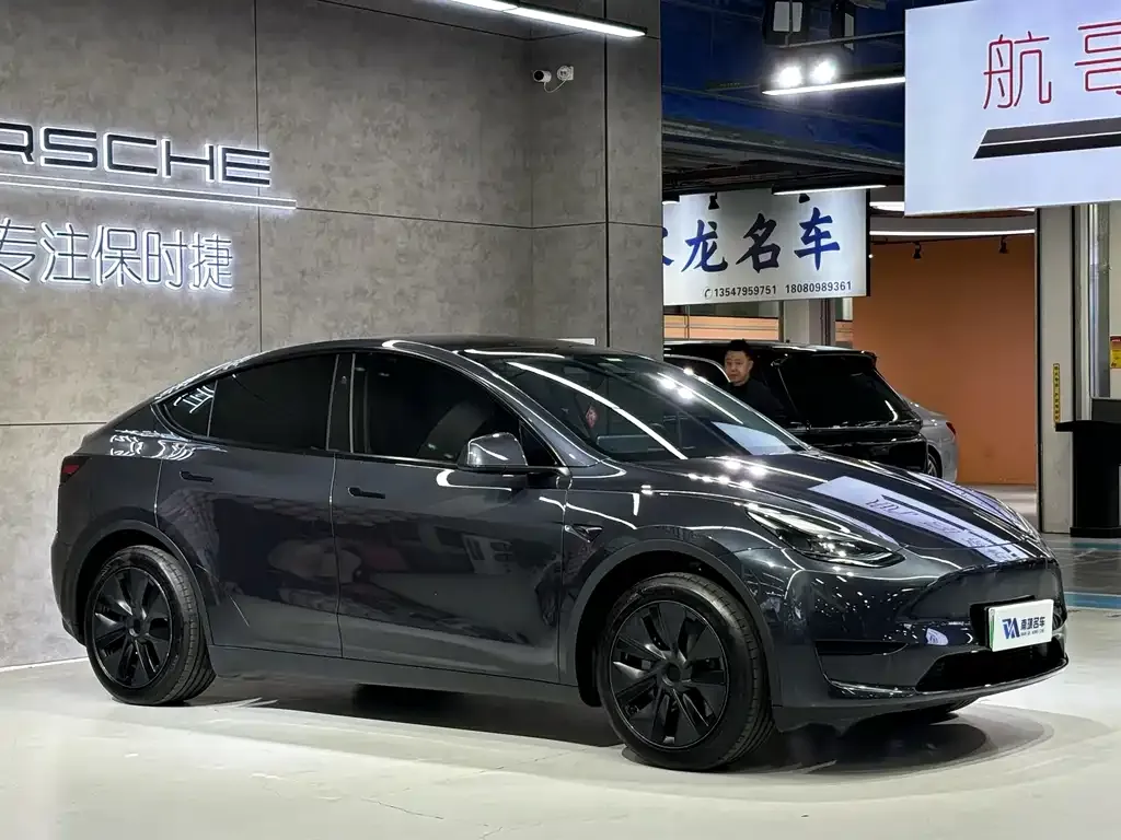 Tesla Model Y — фото 10