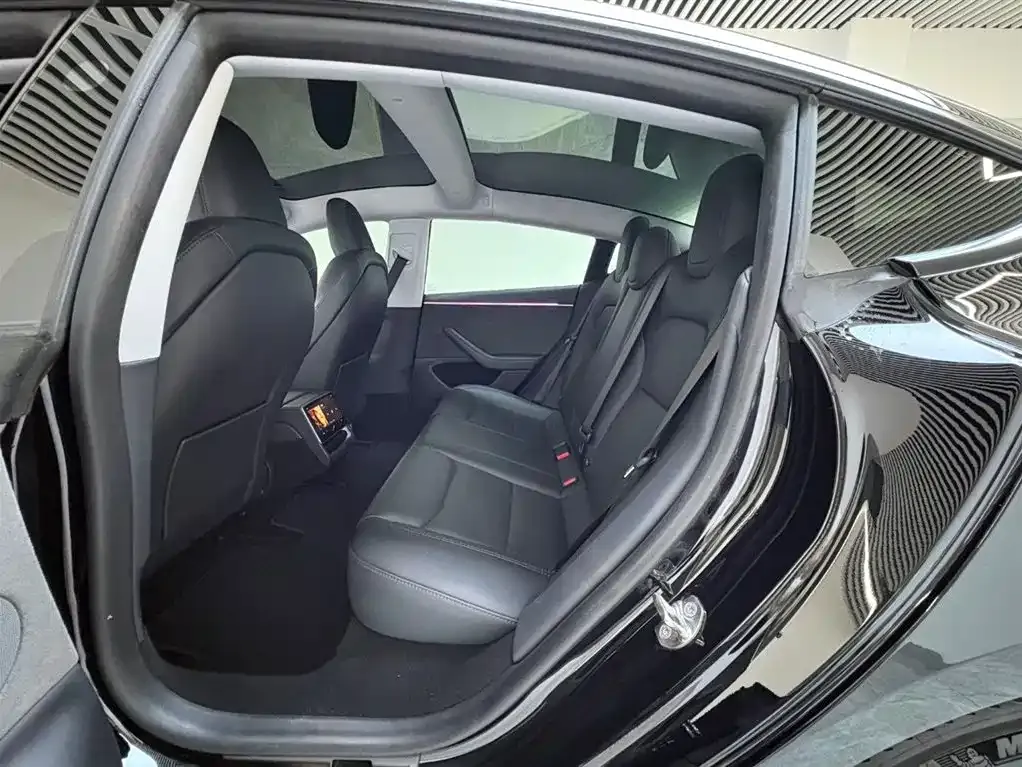 Tesla Model 3 2023 из CN, фото 3