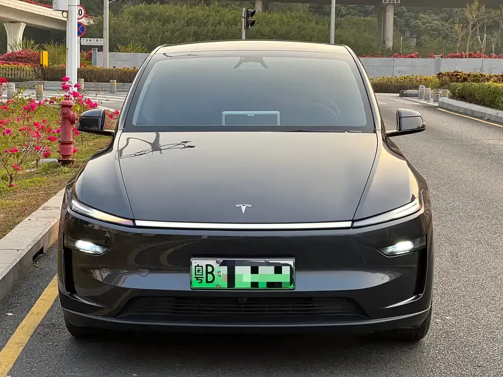 Tesla Model Y 2025 из CN, фото 7